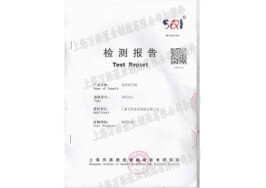 水環式真空泵檢測報告